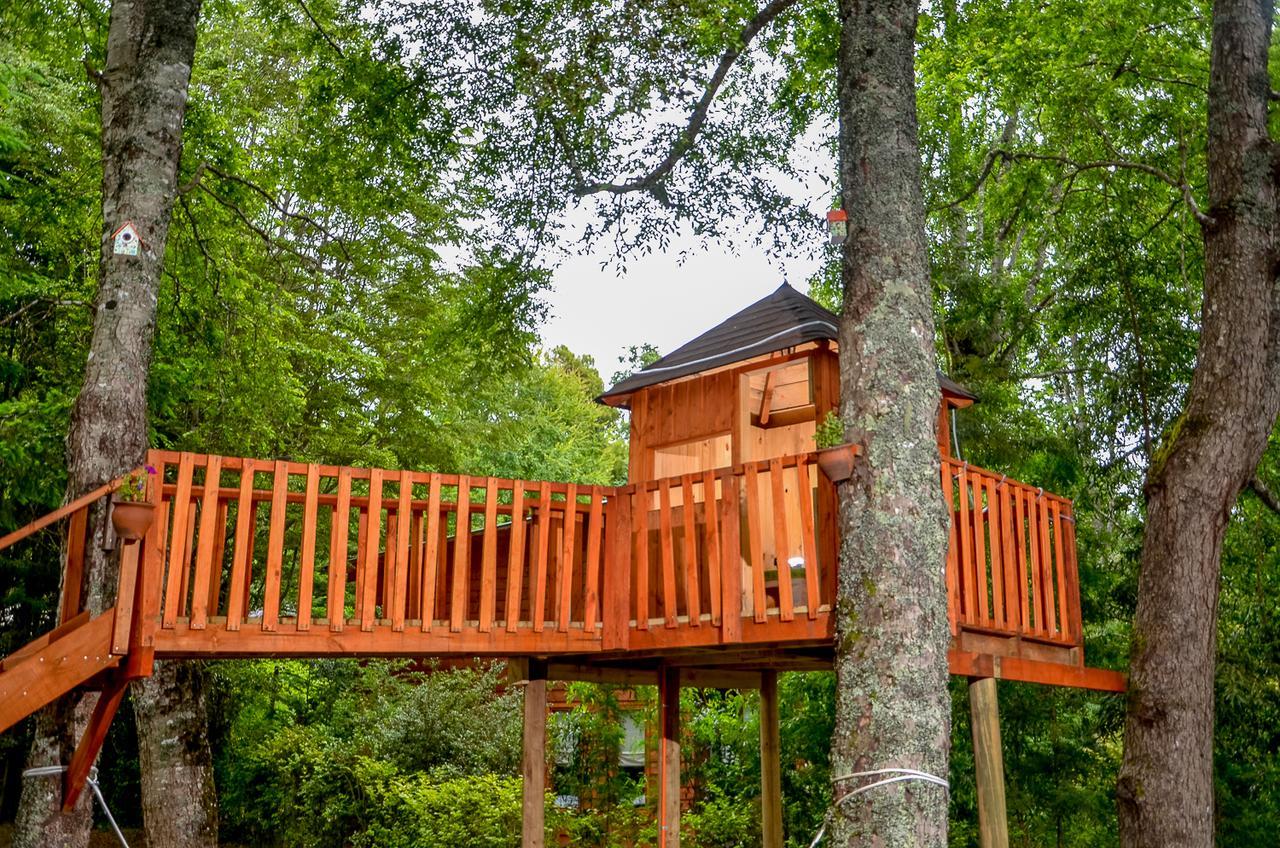 Hotel Cabanas Aylen Pucón Zewnętrze zdjęcie