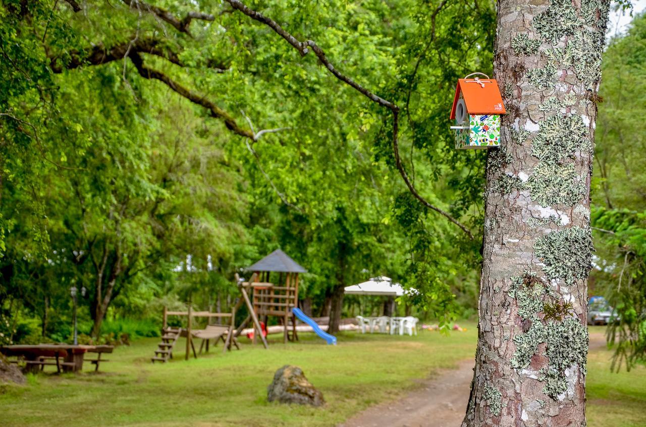 Hotel Cabanas Aylen Pucón Zewnętrze zdjęcie
